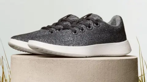 A grey Allbirds shoe placed on a display platform for a promotional image