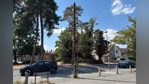 Jodie Halford/BBC A road has a zebra crossing and belisha beacons at either side, as well as concrete bollards and a street sign. Tall trees are on the far side of the road, along with two cars travelling down the street. A tall, thin, rust-coloured pipe is in the centre of the picture.