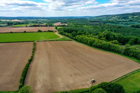 A big field spans the whole of the picture. On the right there are lots of green trees which fill up most of the top right corner. At the bottom there is a tractor that is ploughing the field.