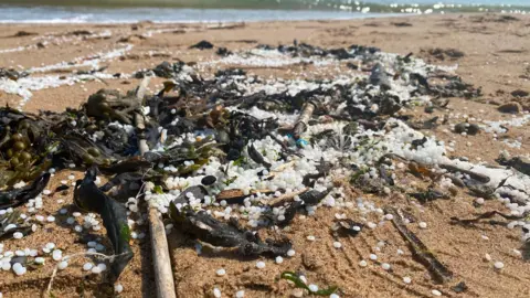 Piles of small white plastic pellets lay between sea weed and twigs on a beach in North Tyneside