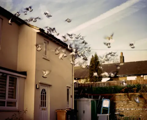 Kuba Ryniewicz A white house with a flock of pigeons in flight overhead. The birds are slightly blurry. There is a wall to the right with a bike shed and children's easel leaning against it. The tops of other houses can be seen over the wall. The sky is blue with thin long clouds.