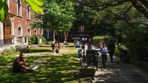 People taking shade from the heat underneath lush green trees