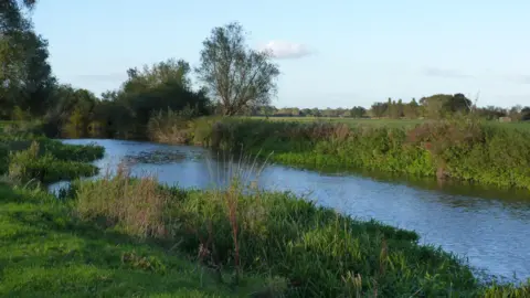 A thin stretch of the River Cam with calm water reflects the pale blue sky above. On either side of the river are green banks with reeds, shrubs and the occasional tree in the distance. 