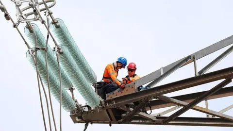 AFP via Getty Images Two people wearing hardhats and hi-viz jackets working on an electricity pylon