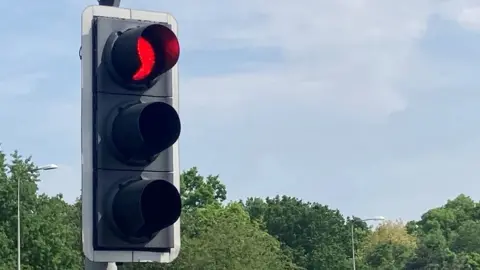 Traffic lights with a red light and trees behind.