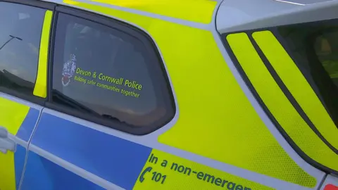 A picture of the side of a Devon and Cornwall police car. It is light blue and green in colour with the force logo visible.