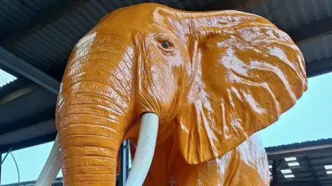 Rob Taverner An orange elephant statue with its paint glistening in the light after being repainted in a barn.