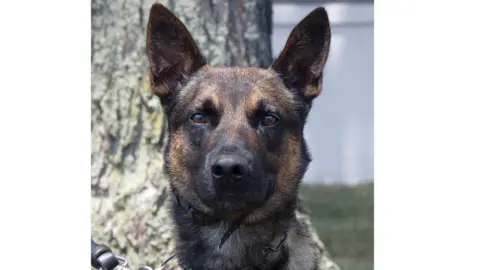 US Customs and Border Protection Police dog Yoda