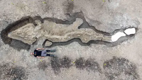 Anglian Water Man laying next to excavated Ichthyosaur fossil