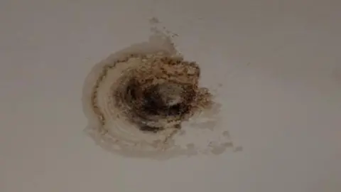 Shania Brannigan A large brown patch of mould.