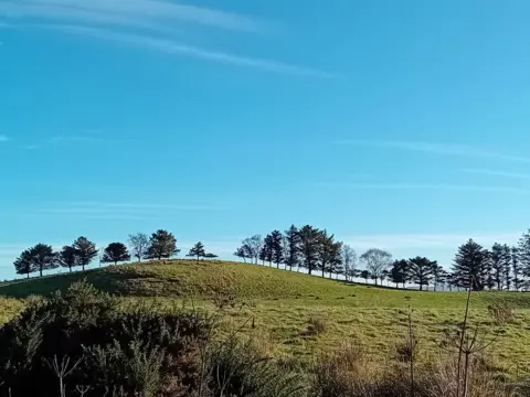 Patricia Callender An undulating green hillside with trees on top of it which follow the line of the hill against a lovely blue sky.