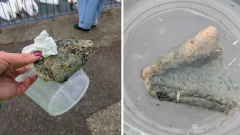 CWRS A green and black mouldy piece of bread in a tub, and being held up by a volunteer.