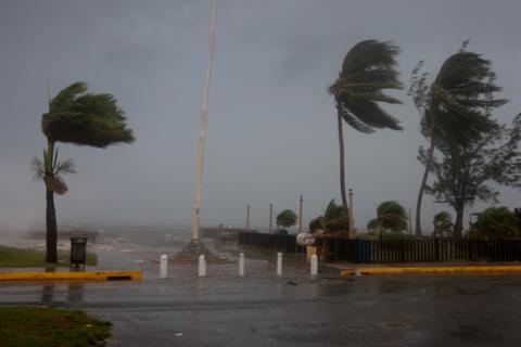 Palm trees sway as the wind and rain from Hurricane Beryl pass through on July 03, 2024, in Kingston, Jamaica. 