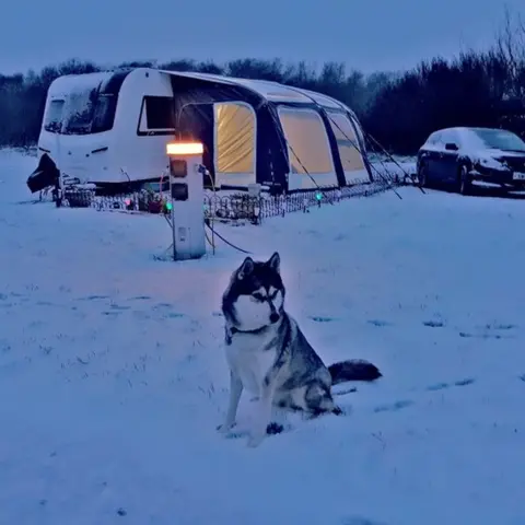 Twitter / @huskylover1974 Florence in the snow