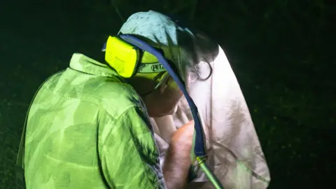 Sarah Lambert A woman is holding and looking into a white net which has a torch in it. She is wearing a yellow Hi-Vis jacket and a head torch. 