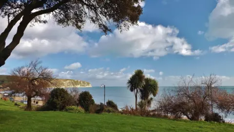 Robin Red Breast The blue sea can be seen from a clifftop view that also features grass and trees in the foreground