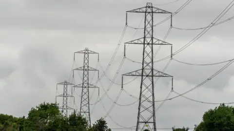 Morgan Spence/BBC A chain of three pylons in the countryside