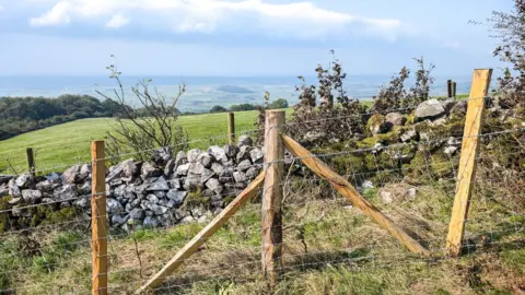 Butterfly Conservation An image of the new fence, with three chestnut posts in view, held together by barbed wire. In the background is a beautiful visa of the Mendip hills.