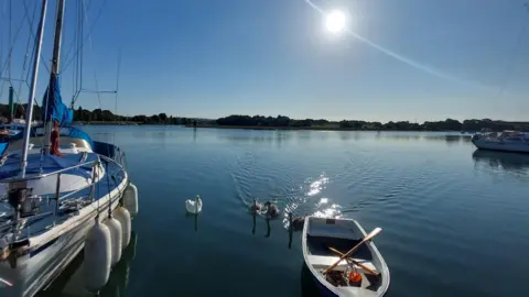 Yen Milne A beautiful sunny sky above three boats on a waterway with swans in-between. A treeline can be seen in the far distance.