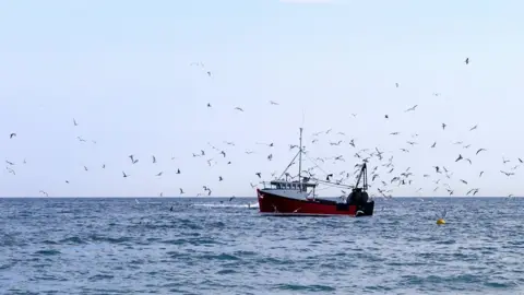 Getty Images A flock of birds around a fishing trawler - stock photo