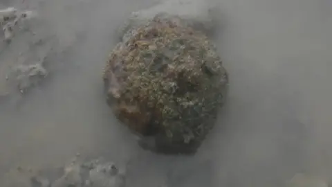  Black Rock Lave Net Fishermen Canon ball in the mud