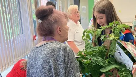 BBC/Mark Ansell Tomato plants handed out