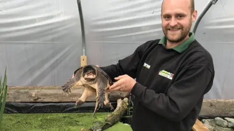 RSPCA Turtle pictured with Andy Ferguson, zoo manager at the Lincolnshire Wildlife Park