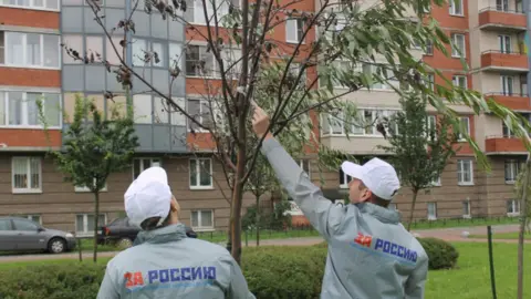 All-Russia People's Front All-Russia People's Front volunteers find branches taped to trees in St Petersburg