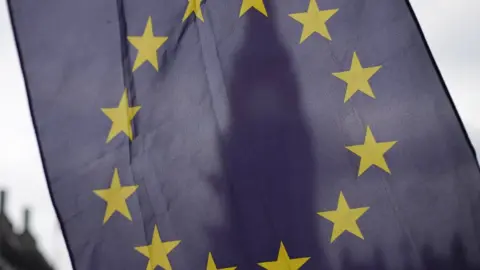 PA EU flag