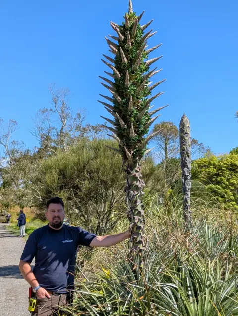 RBGE A man stands next to a large, spiky plant which towers above his head at a botanic garden