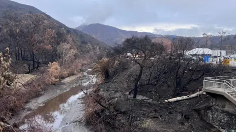 Regan Morris / BBC EPA is seen in the background near a brown and mud creek