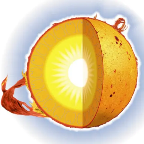 Getty Images Structure of the sun - from the centre to the periphery are the core, the radiation and convection zones, the photosphere, the chromosphere and the corona. (Photo by: QAI Publishing/Universal Images Group via Getty Images)