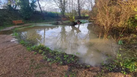 Shariqua Ahmed /BBC Flooded pond in front of the church 