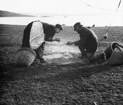 Shetland Museum & Archives A man and a woman winnowing corn, using a sail as a work service to collect the grain. A sack of grain sits alongside an empty basket to take the harvest home. 