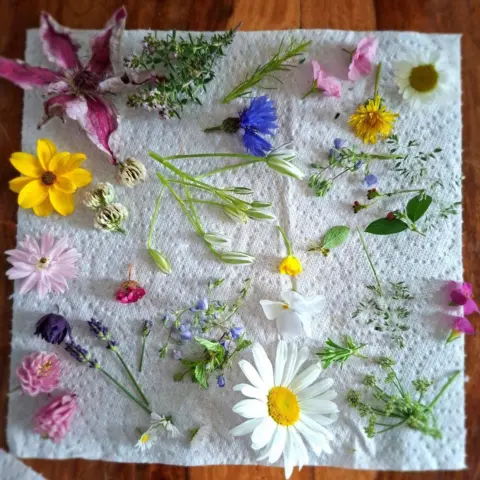 Ruth Wiegratz-Hope A selection of bright flowers laid out on a sheet of kitchen roll.