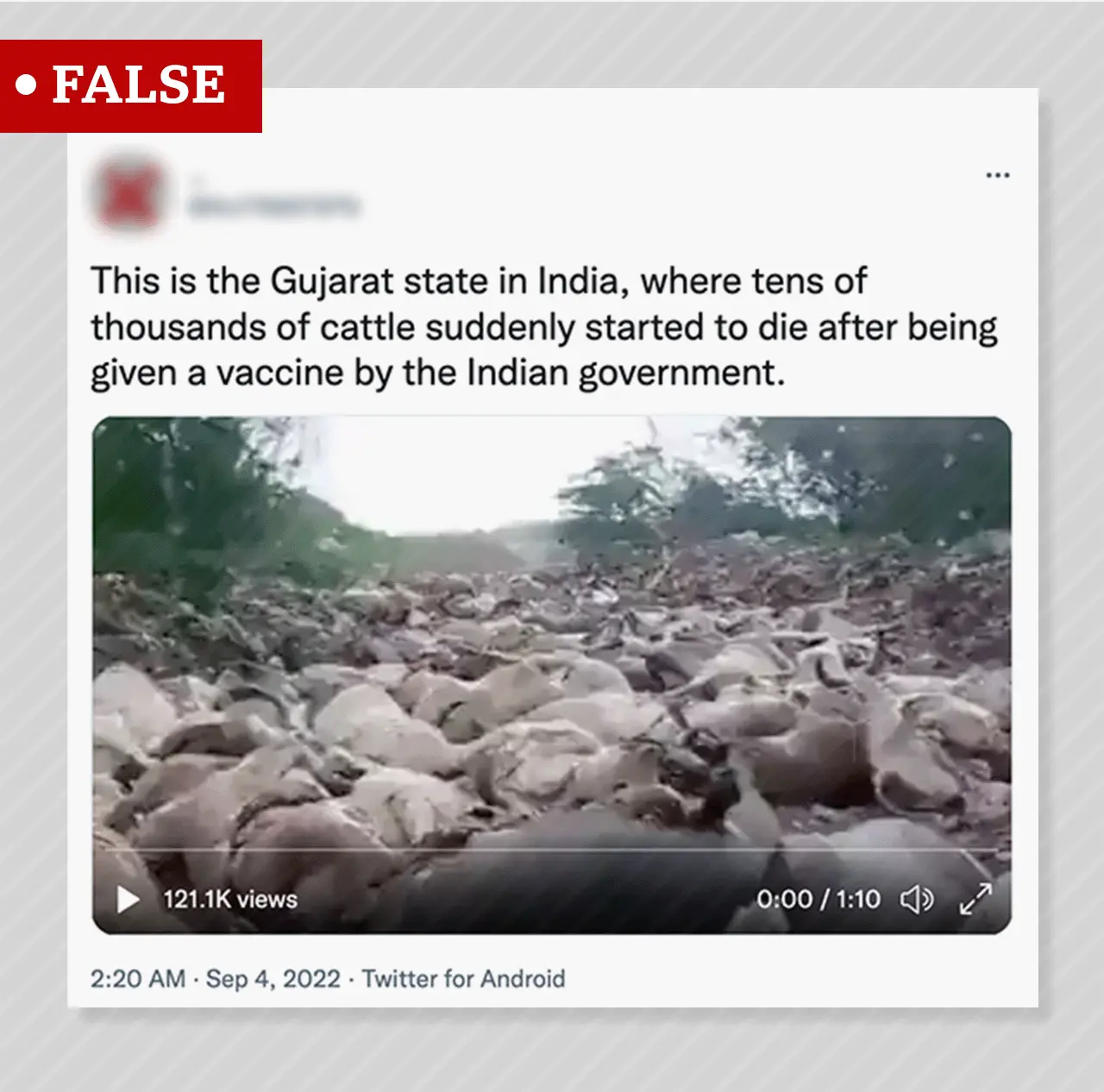 Twitter False claim about vaccinations against lumpy skin disease