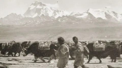 Photograph of two men, a herd of animals and mountains behind