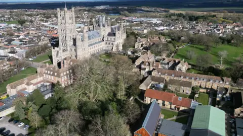 Steve Hubbard/BBC An aerial shot of a walled garden in Ely which shows a number of trees, including a London plane tree. Behind the garden is Ely Cathedral on the top left. To the right of the garden are various buildings. Beyond them is a park. 