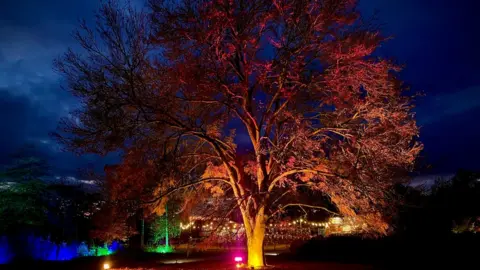 John Fairhall / BBC Glow at RHS Hyde Hall