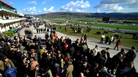 Crowd stood near stands at Cheltenham Festival. The race course is in the background with hills further back. 