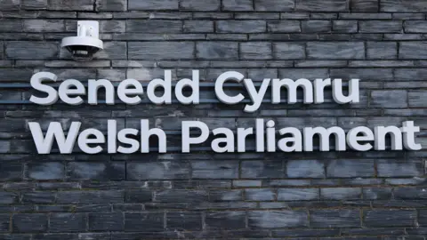 Welsh Parliament: Senedd politicians may not be guaranteed seats