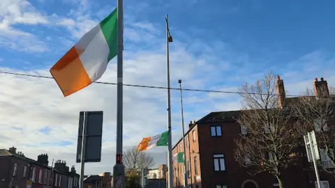 Three Irish tricolour flags flying on poles in a residential area