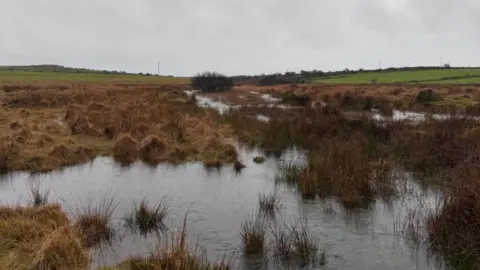 Cyril Stratus/BBC Weather Watchers Saturated ground near St Breward in Cornwall - lots of surface water and vegetation, green fields in the distance