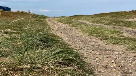 Guy Campbell/BBC Close up view of the footpath running in front of Sizewell B power station along the beach 