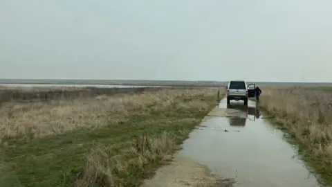 RSPB Wallasea landscape