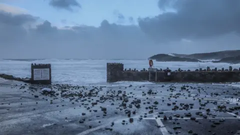 Janet Jenkins Pebbles washed up at Whitesands Bay, Pembrokeshire