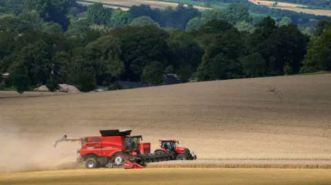A tractor drives alongside a combine harvester as it unloads grain whilst harvesting a field on a sunny day.