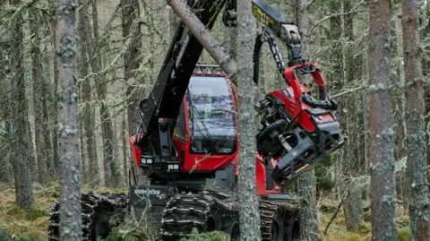 Tree harvester working