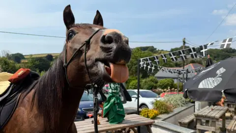 Adventure B4 Dementia A brown horse poking its tongue out. It is stood in a pub garden with benches and cars in the background.