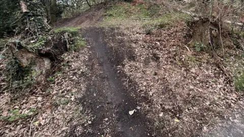 A man-made bike track in the middle of the woods
